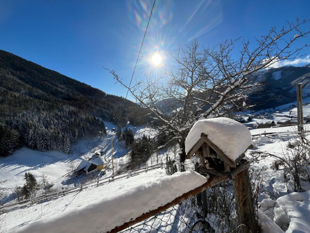 Farm stay Biohof Laussnitzer In Rennweg Rennweg am Katschberg