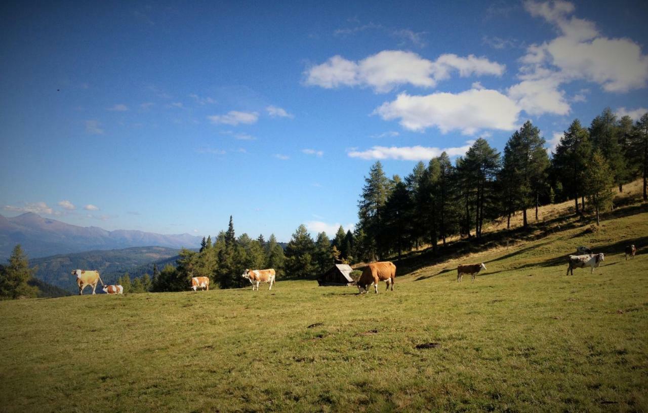 Biohof Laussnitzer In Rennweg Rennweg am Katschberg